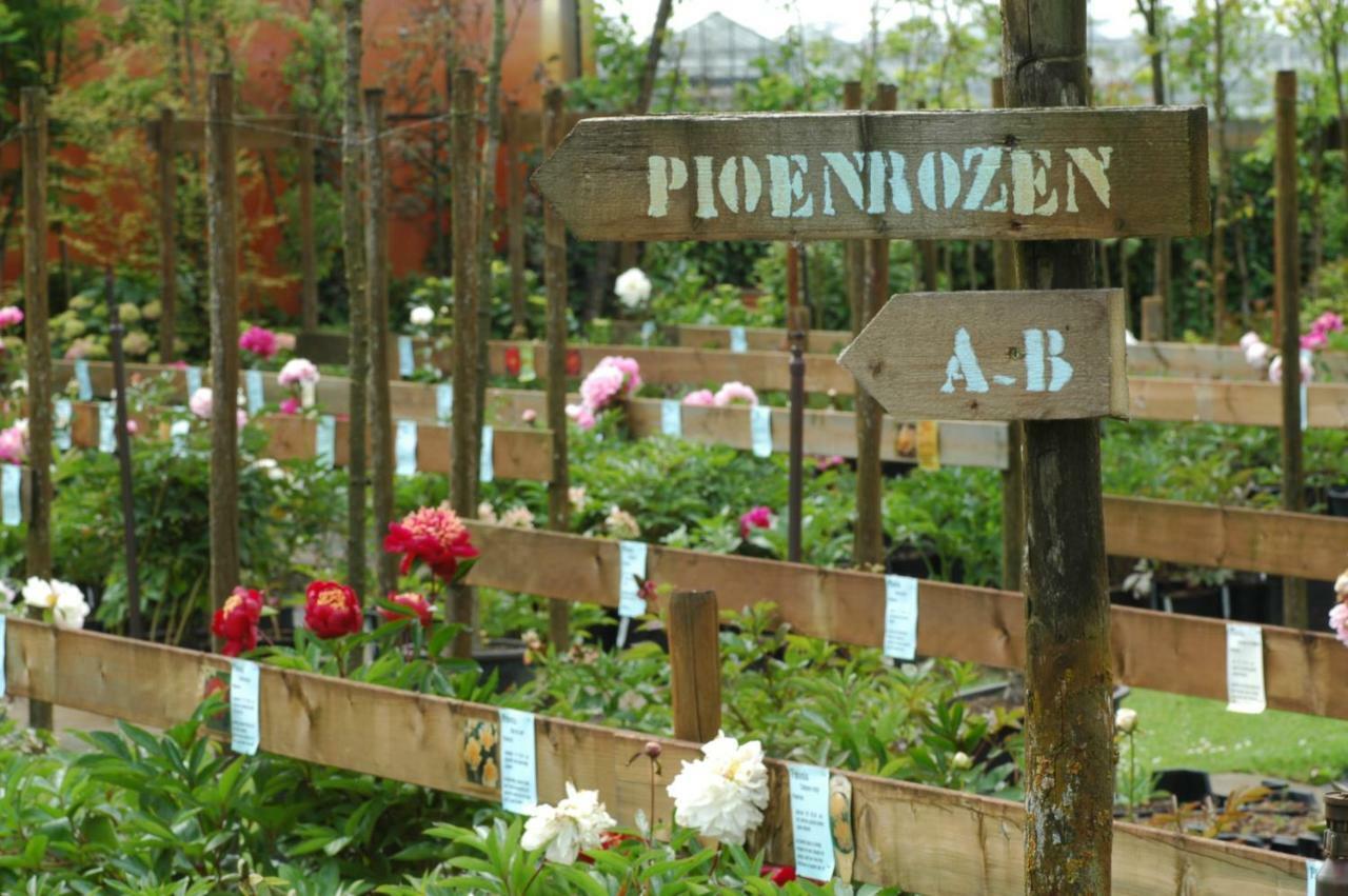 Pipowagen Overnachting Het Houten Huis ซัลต์โบมเมล ภายนอก รูปภาพ