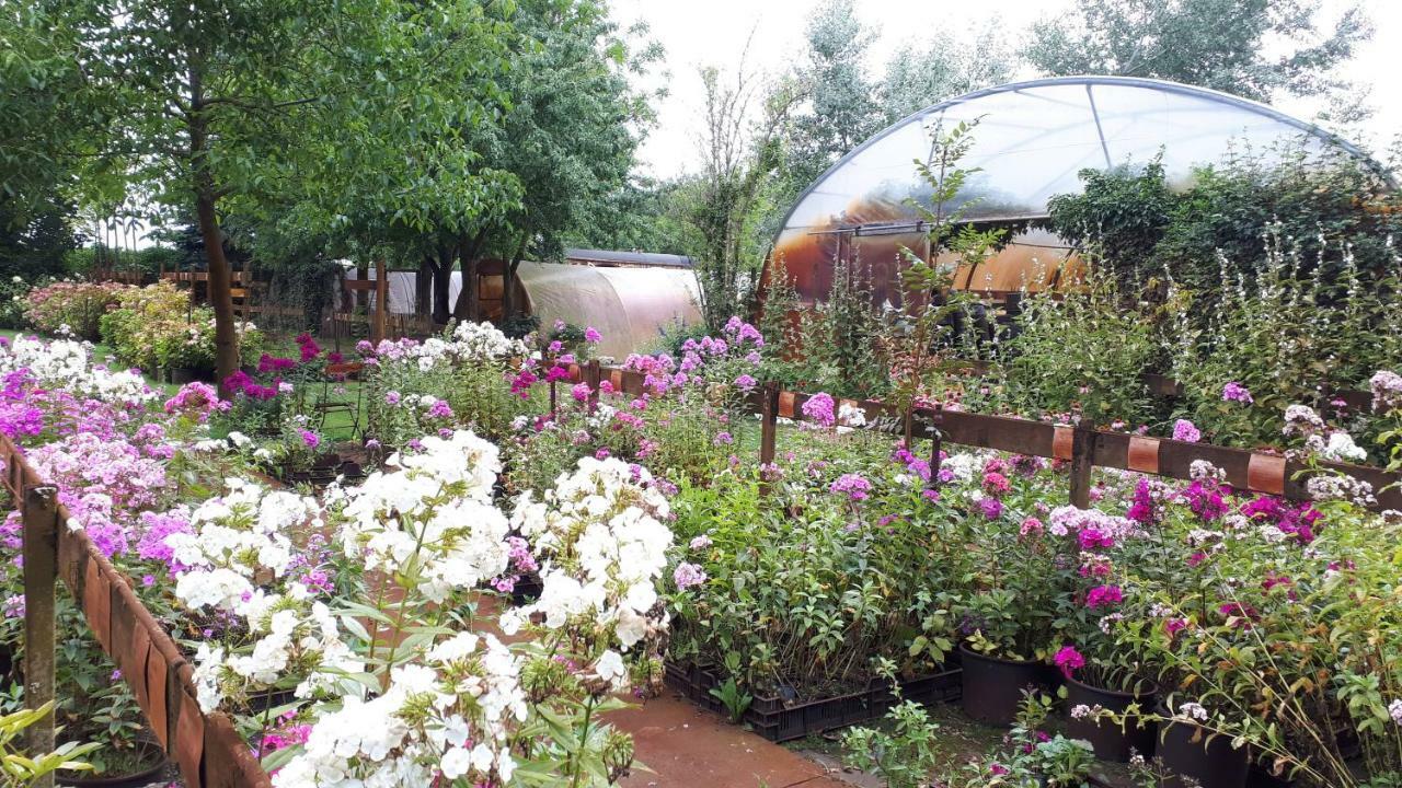 Pipowagen Overnachting Het Houten Huis ซัลต์โบมเมล ภายนอก รูปภาพ