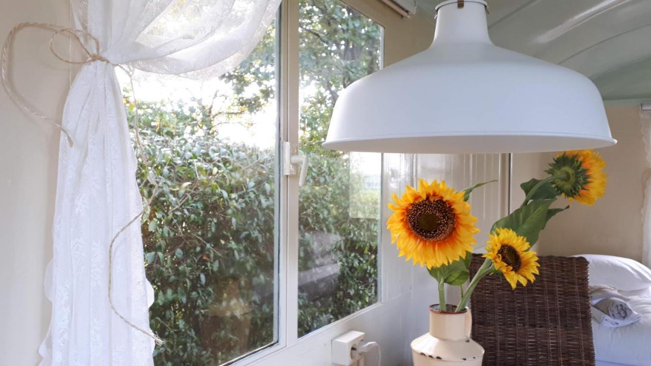 Pipowagen Overnachting Het Houten Huis ซัลต์โบมเมล ภายนอก รูปภาพ